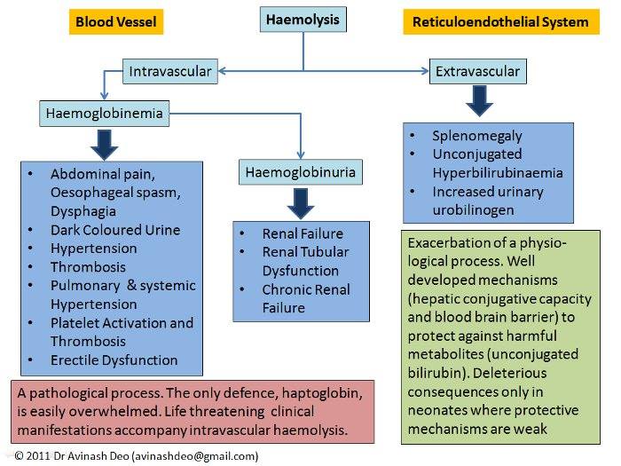 Hemolysis Diagram | Medical Laboratories