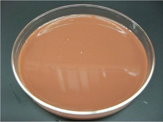 Chocolate agar