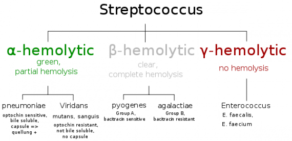 Streptococcus Classification based on blood hemolysis
