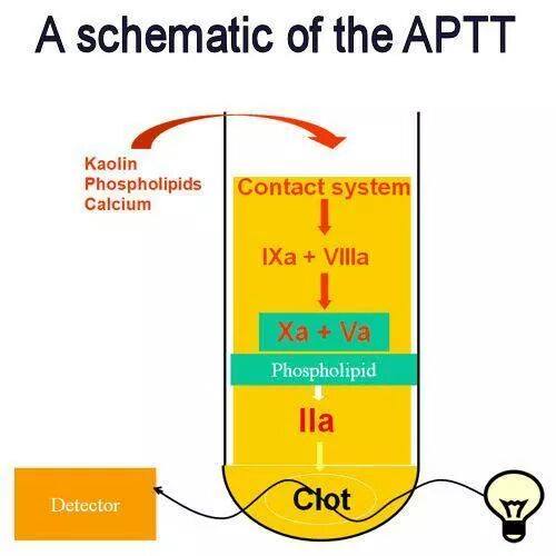 A Schematic of the aPTT