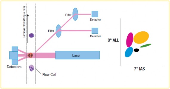 Optical light scatter technology with two-dimensional graphic scatterplot